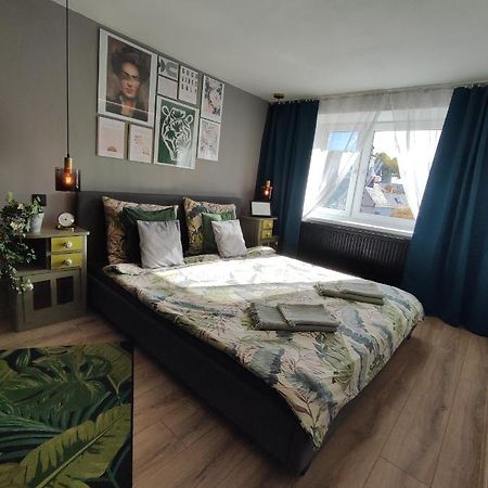 Dian Feelhome Banska Bela Bagian luar foto